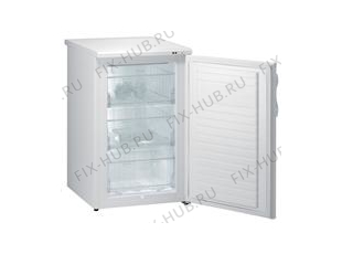 Холодильник Gorenje F4091AW (434093, ZODS1026) - Фото